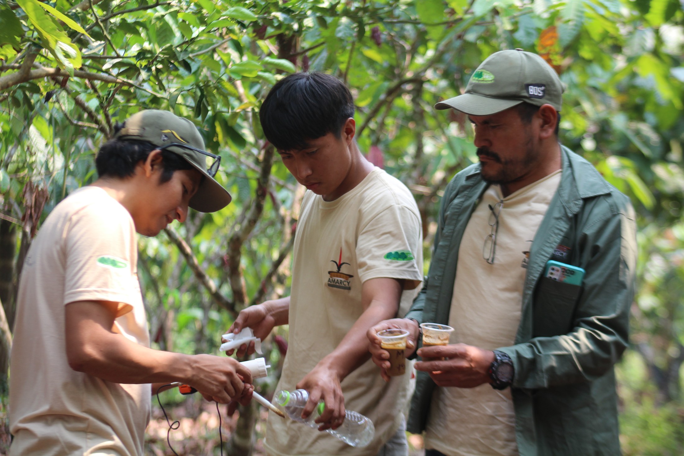 Local field team collecting samples together in the forest