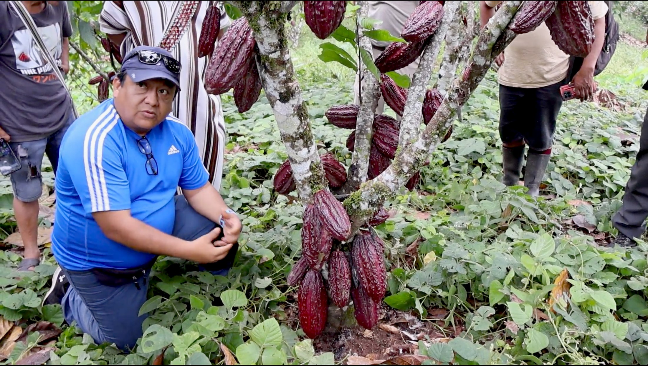 Community member beside a cacao tree in an existing nature project